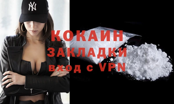 крисы Богородицк
