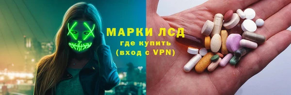 крисы Богородицк