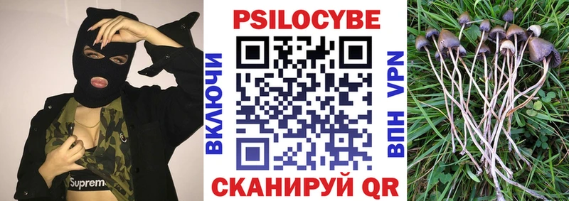купить наркоту Бокситогорск Псилоцибиновые грибы мицелий